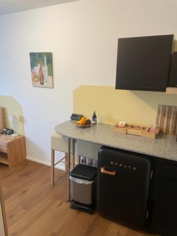 1 Zimmer Appartement Nahe Gmunden Top2 Pinsdorf Exterior foto